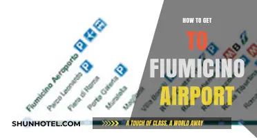 Easiest Ways to Reach Fiumicino Airport from Rome Stress-Free