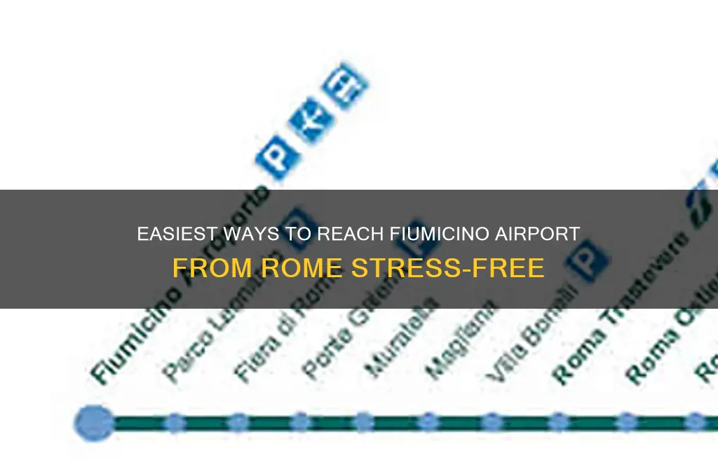 how to get to fiumicino airport
