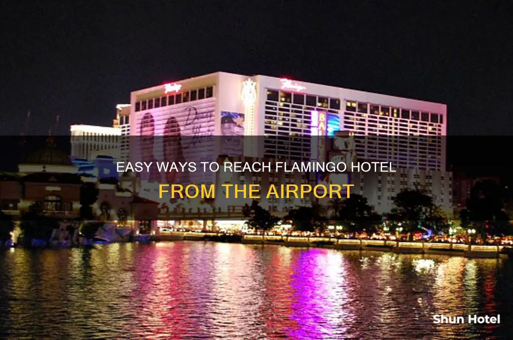 how to get to flamingo hotel from airport
