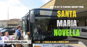 Traveling from Santa Maria Novella to Florence Airport: Easy Guide
