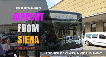 Traveling from Siena to Florence Airport: Easy Transport Options