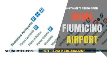 Traveling from Rome Fiumicino Airport to Florence: Easy Transport Options