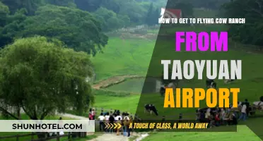 Travel Guide: Taoyuan Airport to Flying Cow Ranch Route