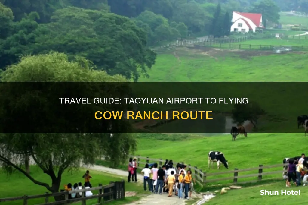how to get to flying cow ranch from taoyuan airport