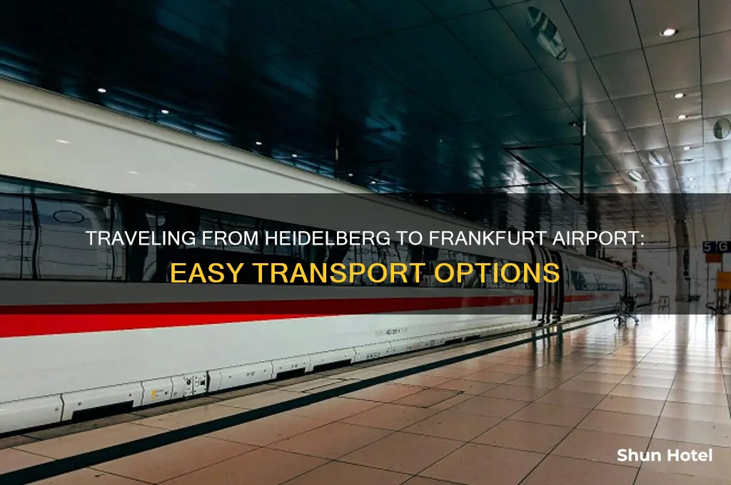 how to get to frankfurt airport from heidelberg