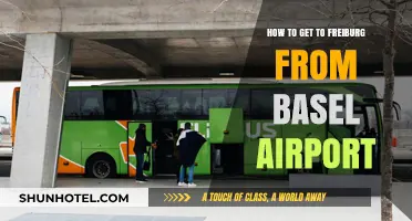 Travel Guide: Basel Airport to Freiburg – Easy Transport Options