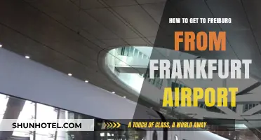 Travel Guide: Frankfurt Airport to Freiburg, Germany – Easy Steps