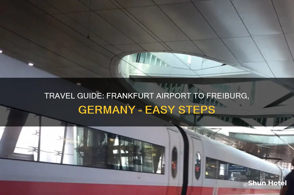 how to get to freiburg from frankfurt airport