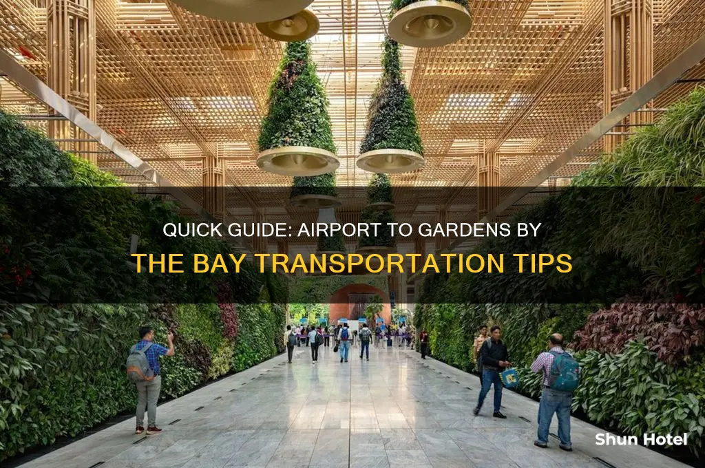 how to get to gardens by the bay from airport