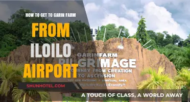 Travel Guide: Iloilo Airport to Garin Farm Easy Route Tips