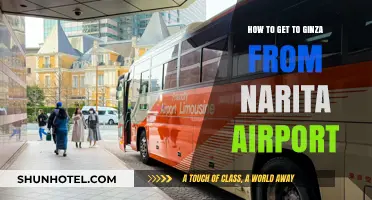 Travel Guide: Narita Airport to Ginza – Easy Transport Options