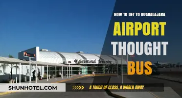 Traveling to Guadalajara Airport: Easy Bus Route Guide