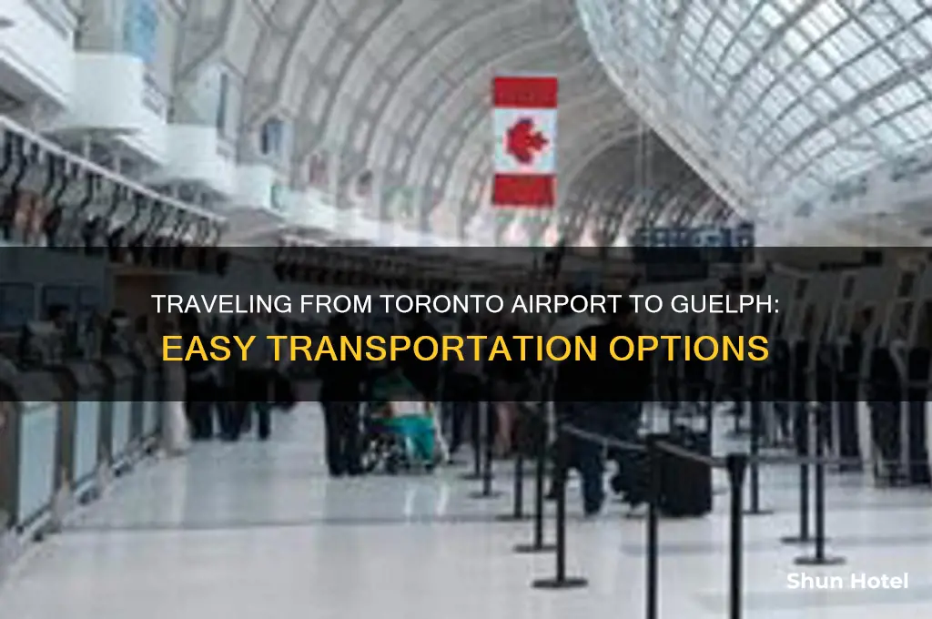 how to get to guelph from toronto airport