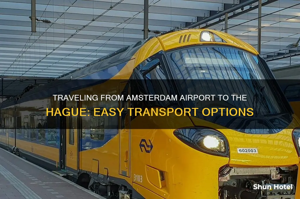 how to get to hague from amsterdam airport