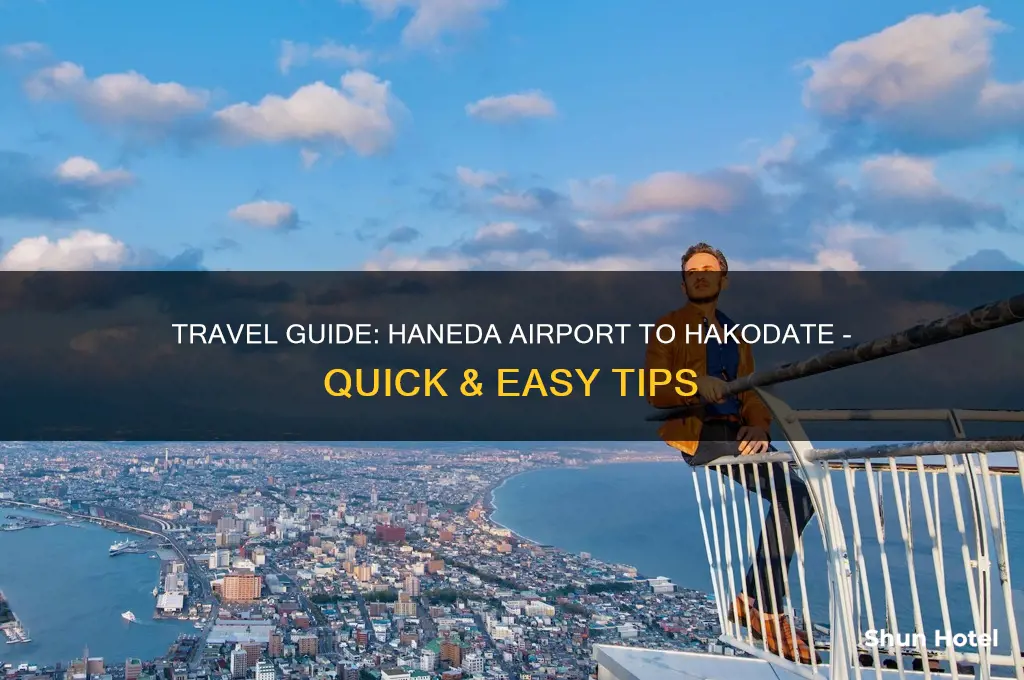 how to get to hakodate from haneda airport