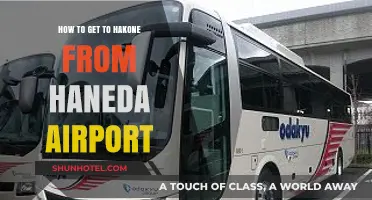 Travel Guide: Easy Haneda Airport to Hakone Journey Tips
