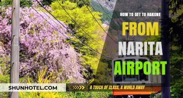 Travel Guide: Narita Airport to Hakone – Easy Transport Tips