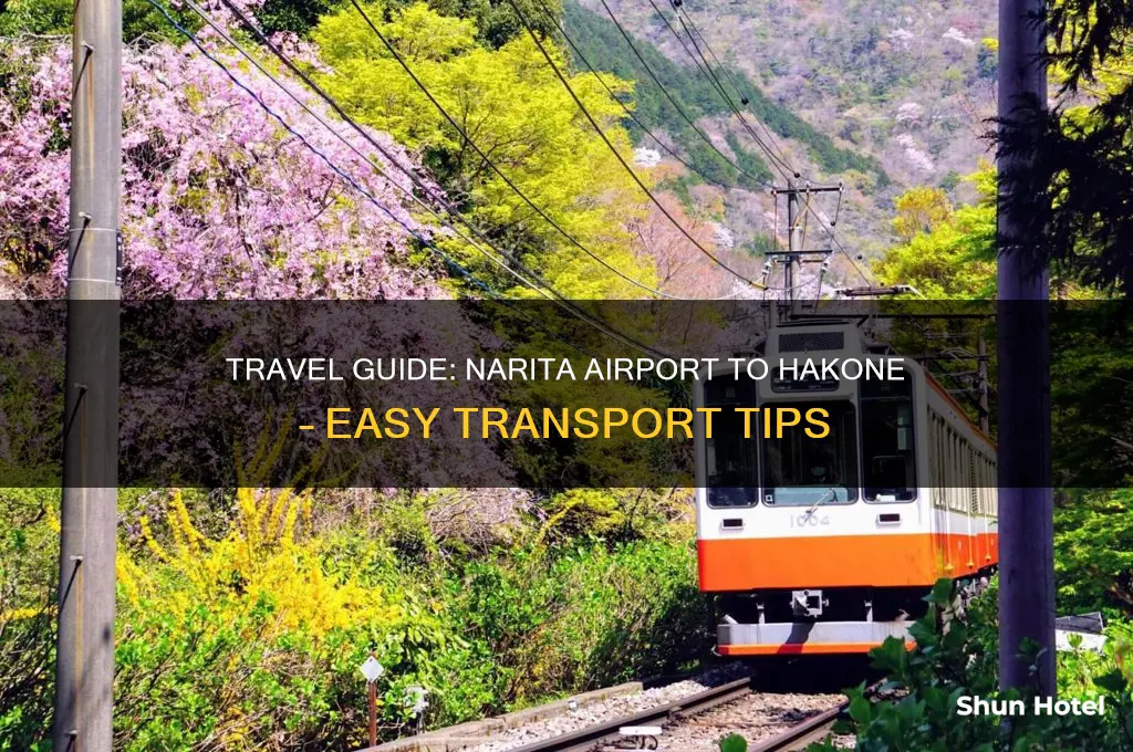 how to get to hakone from narita airport