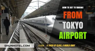 Travel Guide: Tokyo Airport to Hakone - Easy Transport Options