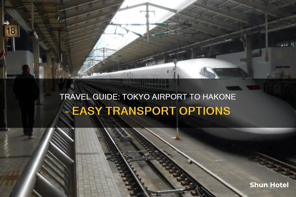 how to get to hakone from tokyo airport