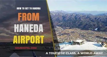 Travel Guide: Haneda Airport to Hakuba – Easy Transportation Tips