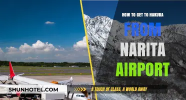 Travel Guide: Narita Airport to Hakuba, Japan - Easy Steps