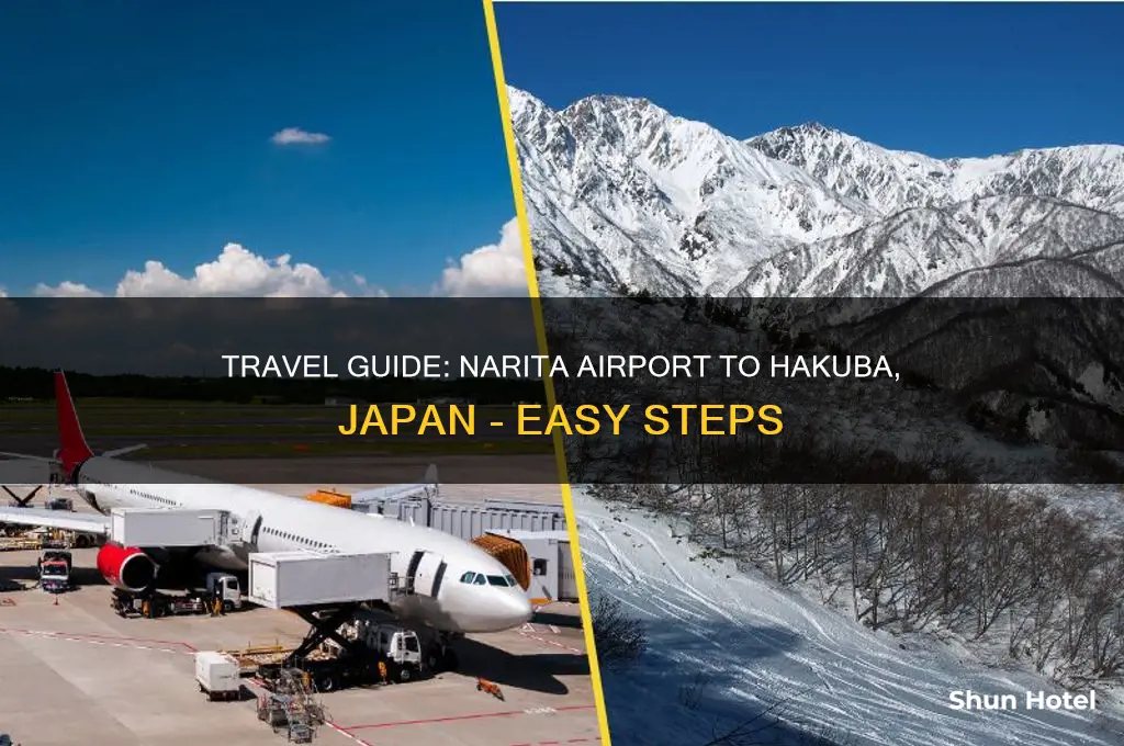 how to get to hakuba from narita airport