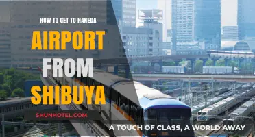 Easiest Ways to Travel from Shibuya to Haneda Airport