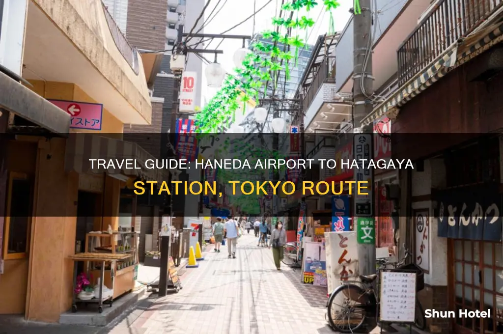 how to get to haneda airport to hatagaya station tokyo