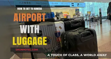 Easy Luggage Transport: Navigating to Haneda Airport Stress-Free