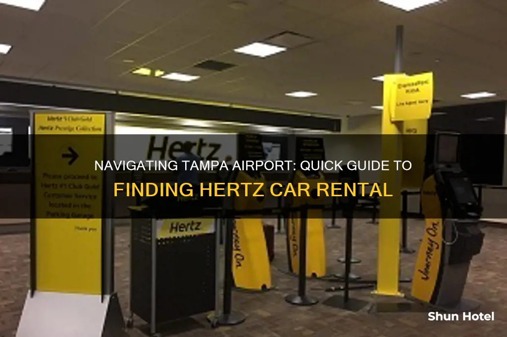 how to get to hertz at tampa airport