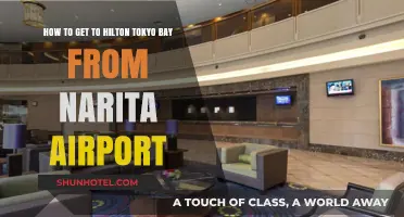 Travel Guide: Narita Airport to Hilton Tokyo Bay Made Easy