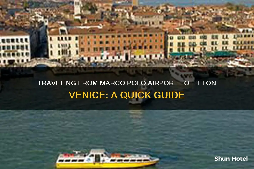 how to get to hilton venice from marco polo airport