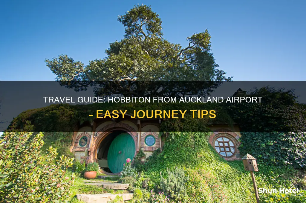 how to get to hobbiton from auckland airport