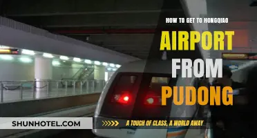 Easiest Ways to Travel from Pudong to Hongqiao Airport
