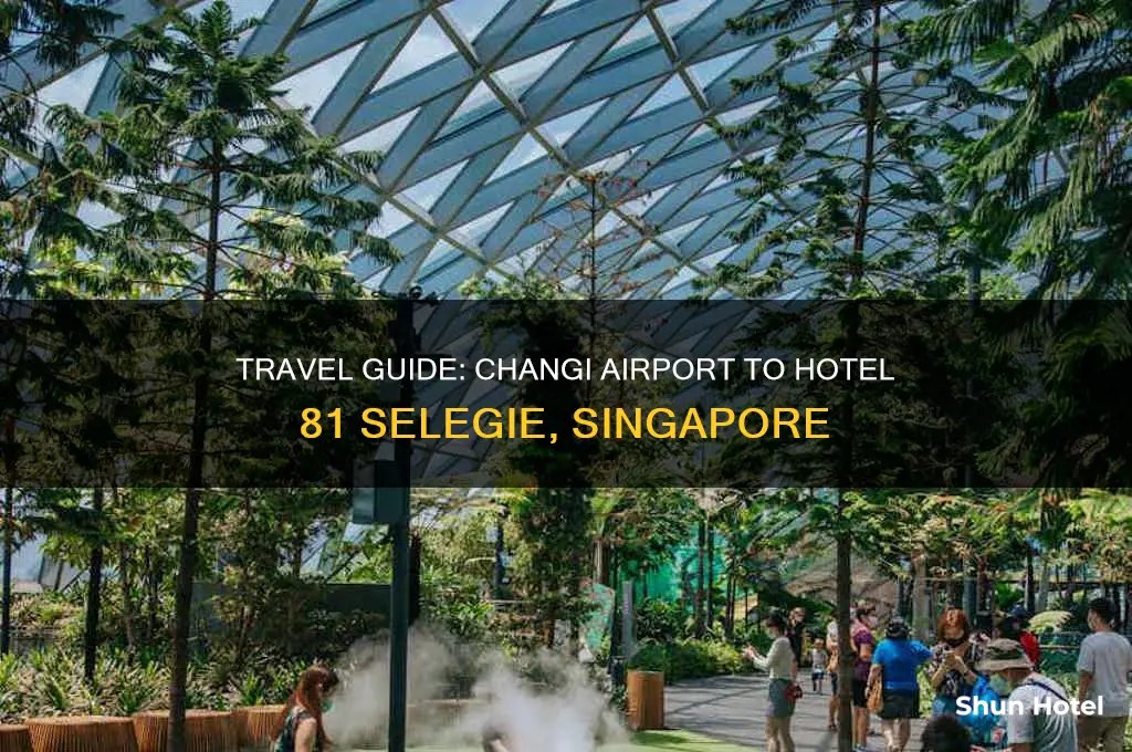 how to get to hotel 81 selegie from changi airport