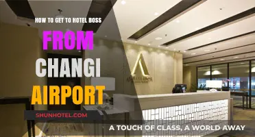 Traveling to Hotel Boss: Easy Changi Airport Transfer Guide