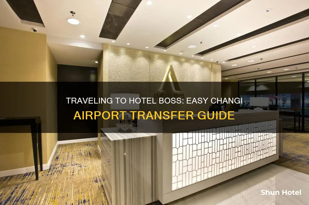 how to get to hotel boss from changi airport