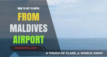 Seamless Transfer: Navigating from Maldives Airport to Your Hotel
