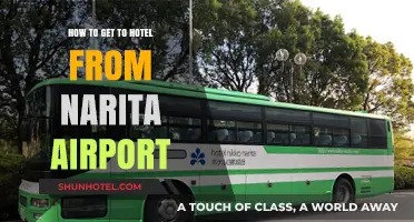 Easy Travel Guide: Narita Airport to Your Hotel in Tokyo
