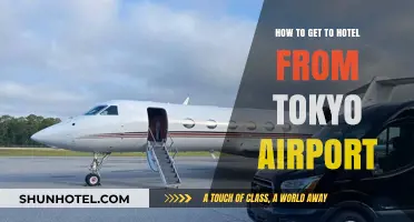 Easy Tokyo Airport to Hotel Transfer Guide: Stress-Free Travel Tips