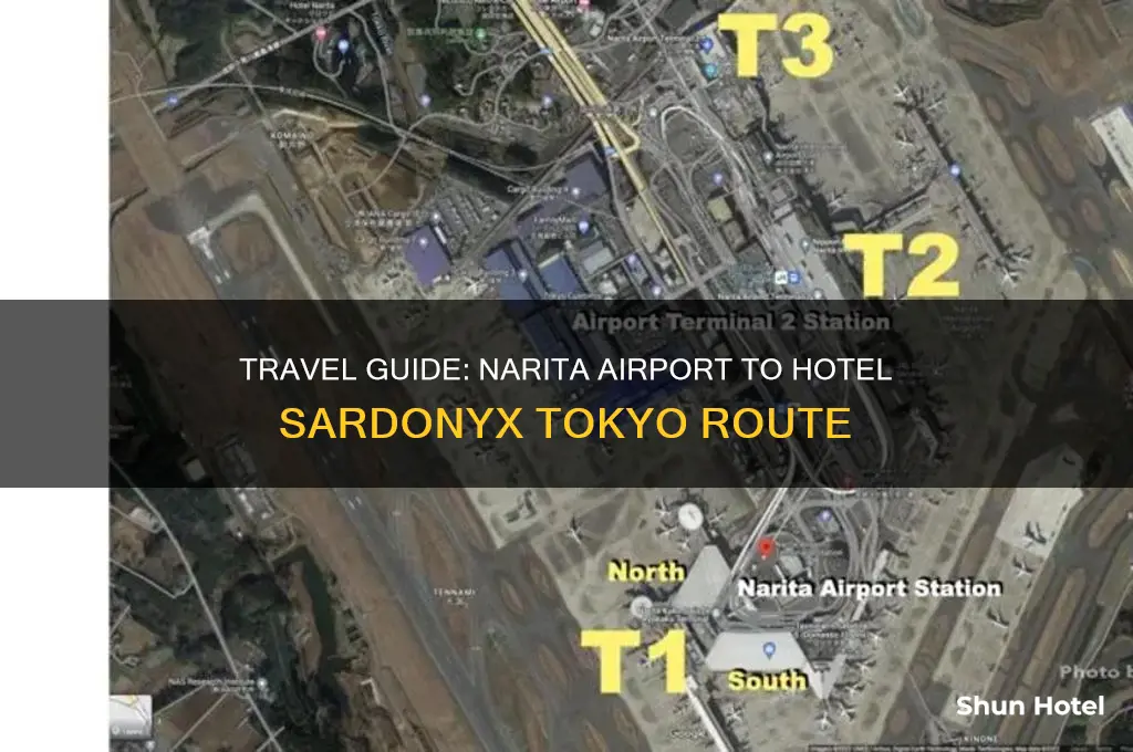 how to get to hotel sardonyx tokyo from narita airport