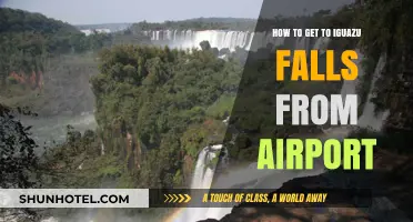 Travel Guide: Reaching Iguazu Falls from the Airport Easily