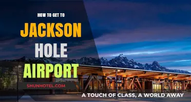 Traveler's Guide: Navigating Your Way to Jackson Hole Airport