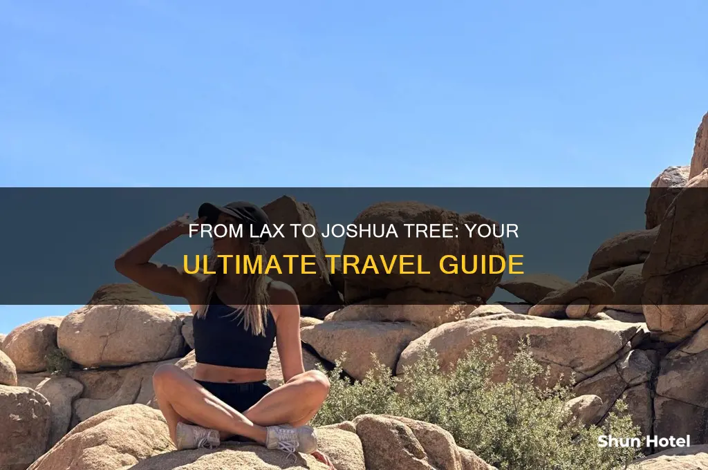 how to get to joshua tree from airport