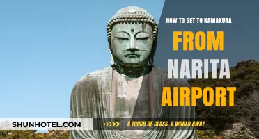 Travel Guide: Narita Airport to Kamakura - Easy Transport Tips