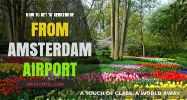 Easy Travel Guide: Keukenhof from Amsterdam Airport Simplified