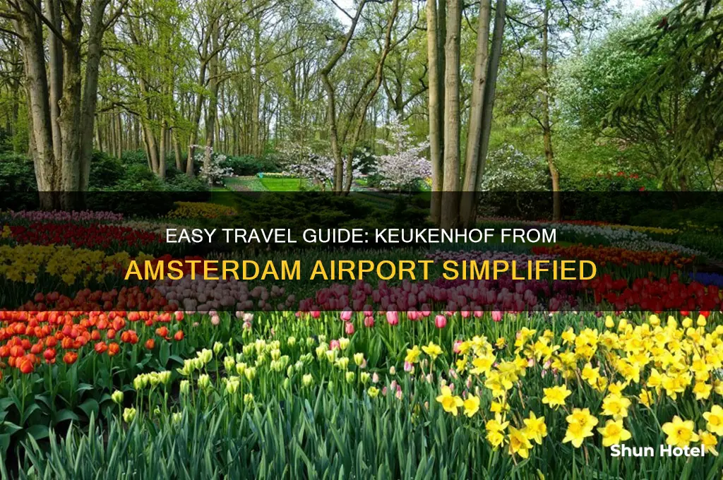 how to get to keukenhof from amsterdam airport