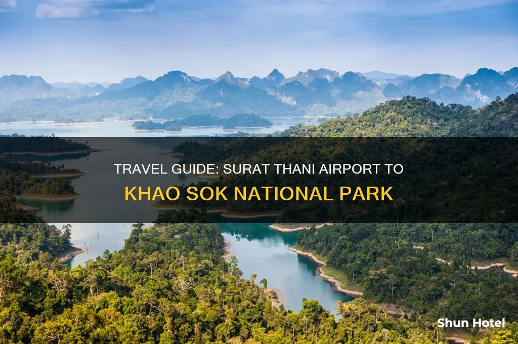 how to get to khao sok from surat thani airport