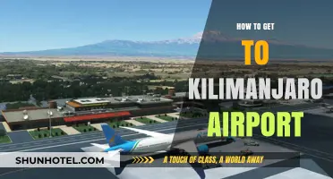 Travel Guide: Reaching Kilimanjaro Airport with Ease and Efficiency
